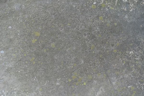 Slab Staining Service in Indianapolis